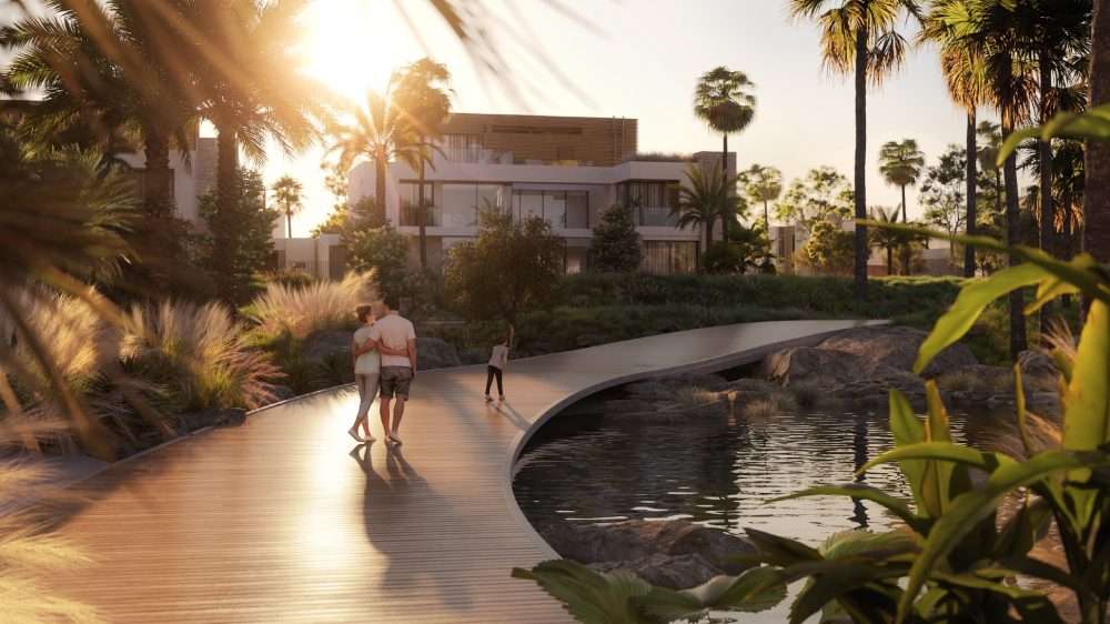 Finding Your Oasis